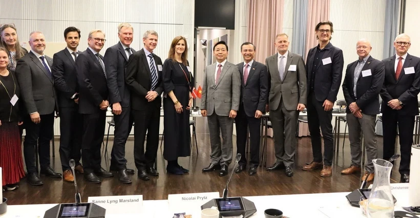 Deputy Prime Minister Tran Hong Ha and the Government delegation took a souvenir photo with leaders of the Confederation of Danish Industry (DI). (Source: VNA)