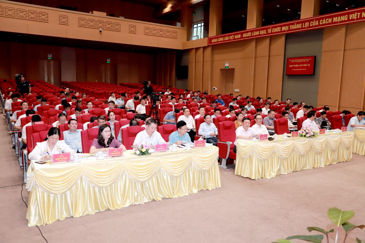 Các đại biểu dự hội nghị.