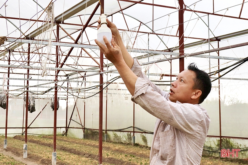 Luu Vinh Son flower village is busy during Tet season