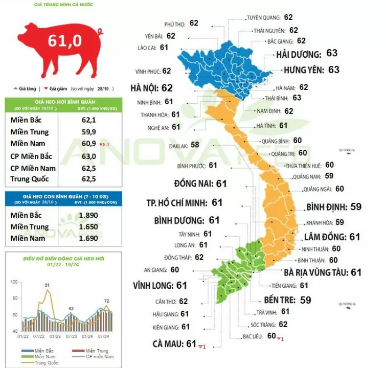 Giá heo hơi hôm nay 30/10/2024: