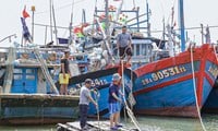 Los pescadores de Da Nang se apresuran a llegar a la orilla y anclan sus barcos para evitar la tormenta Tra Mi