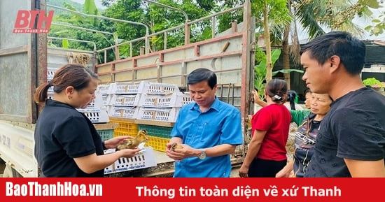 Vai trò của Liên minh HTX trong sự phát triển kinh tế