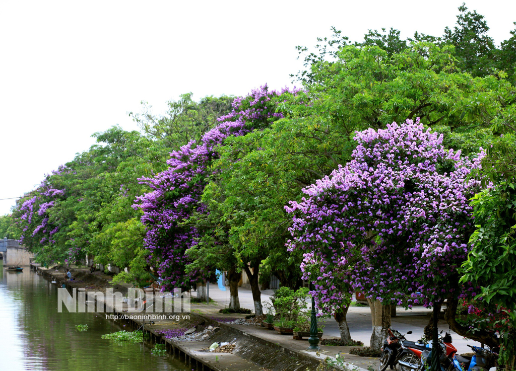 Sông Ân mùa Hạ về