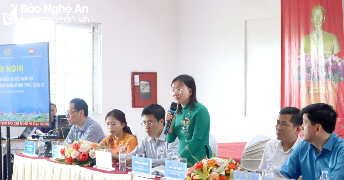 Diputados de la Asamblea Nacional de la provincia de Nghe An se reúnen con votantes, trabajadores y obreros