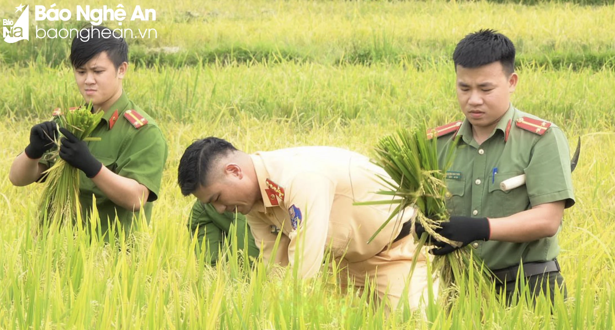 Ảnh màn hình 2024-05-17 lúc 10.07.28.png