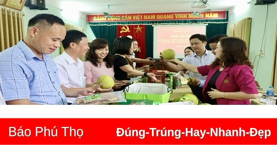 Yên Lập phát triển sản phẩm OCOP