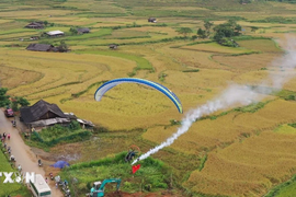 Kommen Sie zum 2. September nach Mu Cang Chai, um sich Paragliding anzusehen.