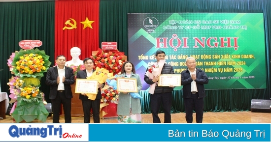 VGR Quang Tri MDF Wood Joint Stock Company resume las actividades de producción