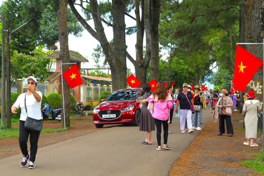 Đông đảo khách du lịch trong và ngoài tỉnh đến chụp ảnh và tham quan khu vực Biển Hồ chè, hàng thông trăm tuổi. Ảnh: Hoàng Hoài