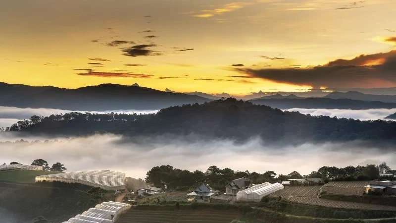 Da Lat City, Vietnam. (Photo: Internet)