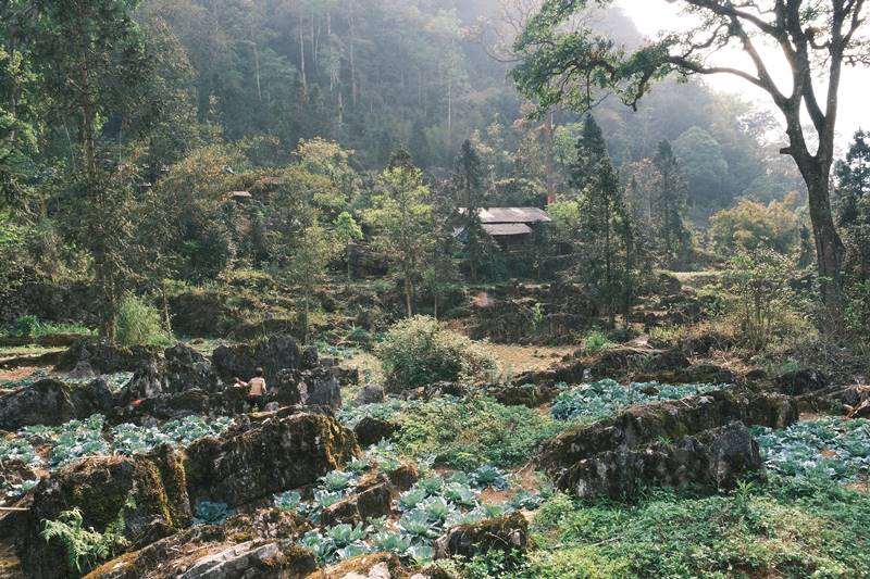Sao Ha Village es un nuevo 