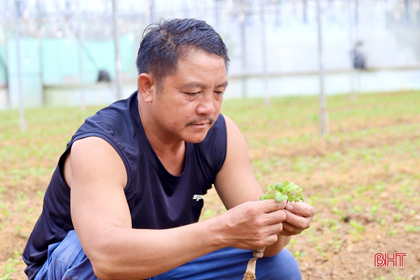 루빈선 꽃마을은 설날철에 분주하다