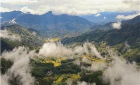 Dak Na - Tempat yang melestarikan keindahan alam liar dan megah pegunungan dan hutan Dataran Tinggi Tengah