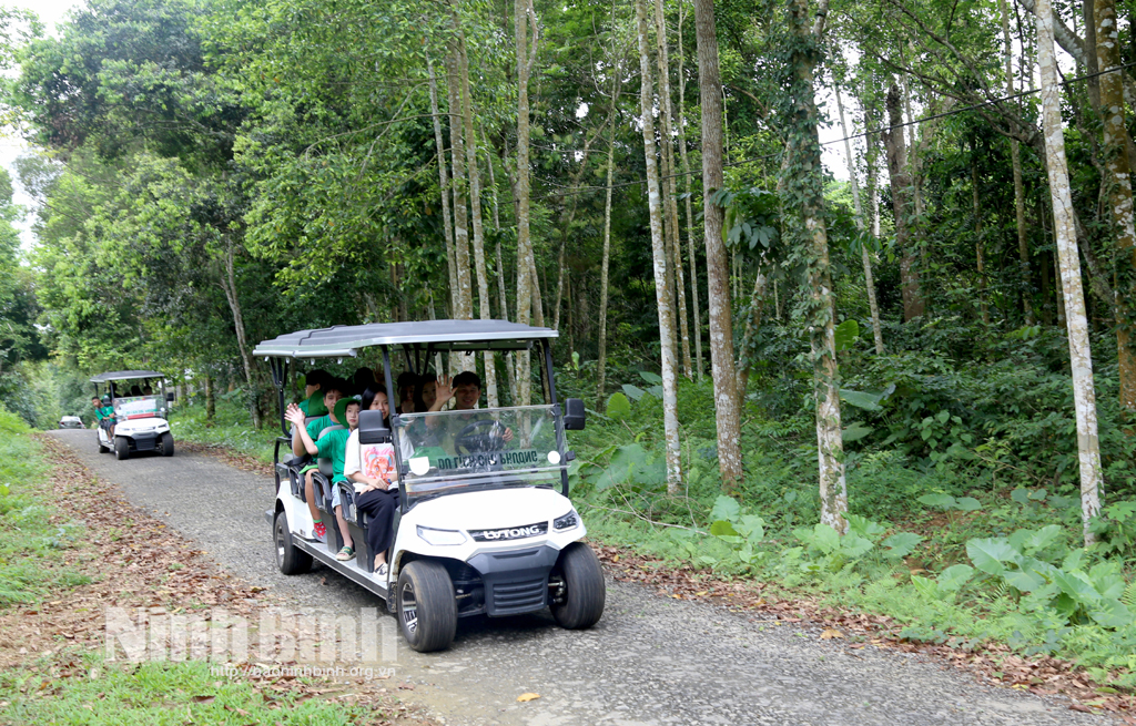 Organizando el campamento de verano Creciendo con el gran bosque Campamento Cuc Phuong 2024