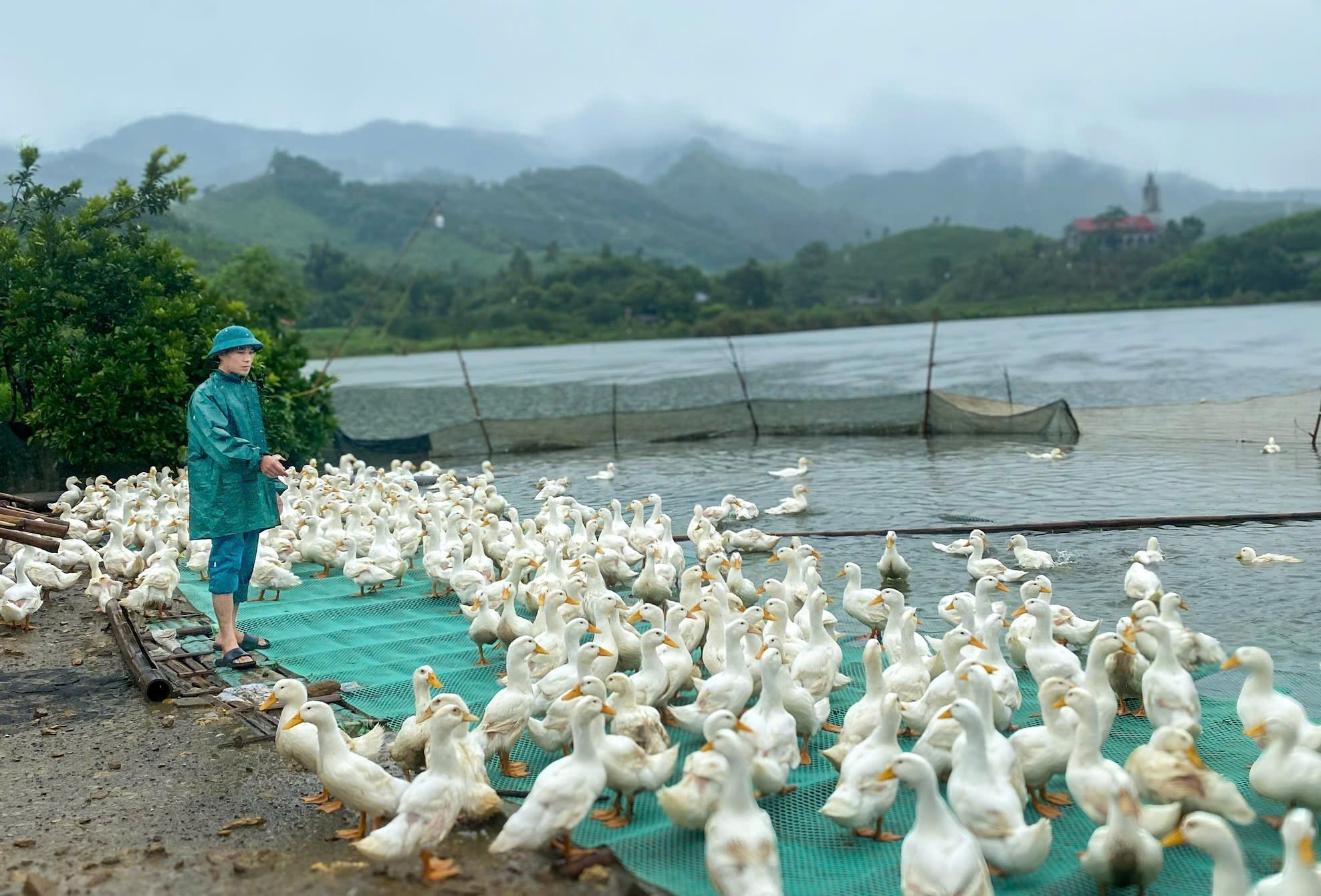 Cùng thanh niên vững tin lập nghiệp