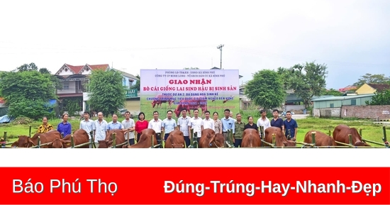 Tỷ lệ hộ nghèo đa chiều giảm còn 1,32%