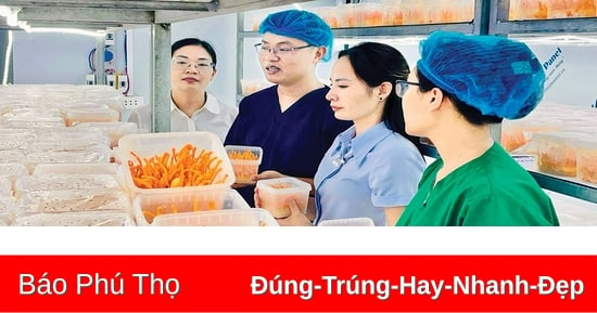 Đưa sản phẩm hợp tác xã vươn xa