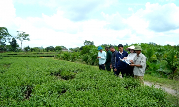 នវានុវត្តន៍ក្នុងការគិត ដើម្បីអភិវឌ្ឍកសិកម្មនិរន្តរភាព