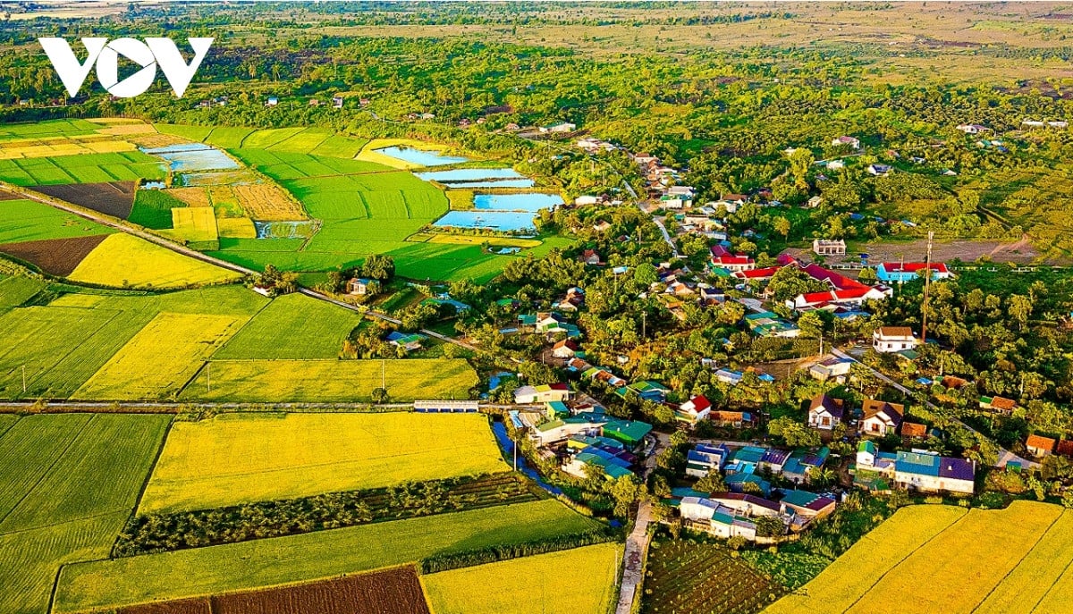 Dong xanh, mua vang o noi giao duyen giua song sau va nui lua hinh anh 4