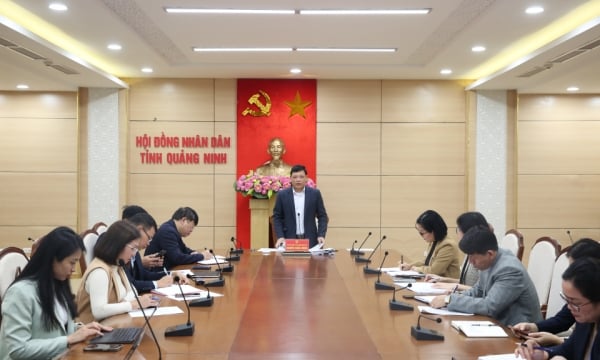 Deploying the model of a one-level public administrative service center under the Provincial People's Committee