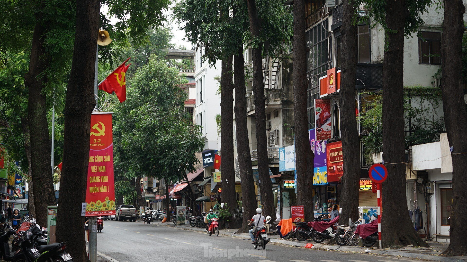 After cleaning up fallen trees, Hanoi begins to rebuild green space photo 3