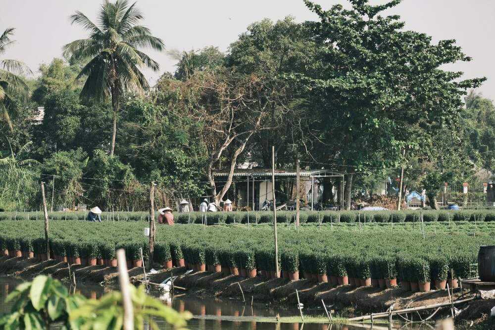 លោក ដេត បានបញ្ជាក់ថា ទោះបីមិនមែនជាអ្នកទិញផ្កាក៏ដោយ ក៏នៅតែអាចចូលទស្សនា និងថតរូបបានដោយសេរី ព្រោះប្រជាពលរដ្ឋមានភាពរួសរាយរាក់ទាក់ និងសាទរ។ រូបថត៖ NVCC