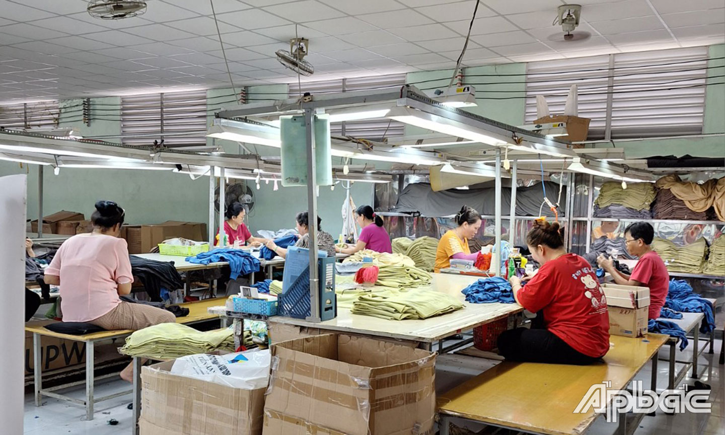 Chien Thang Cooperative (My Tho City) started at the beginning of the year.