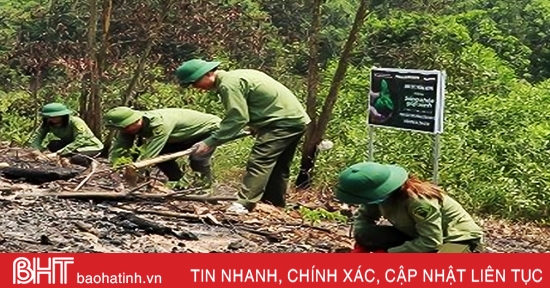 Hà Tĩnh “khởi động” mục tiêu trồng 8.600 ha rừng tập trung