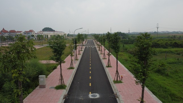 Vente aux enchères de terrains de nuit dans un quartier suburbain de Hanoi, le lot le plus élevé payé 133,3 millions de VND/m2 photo 12