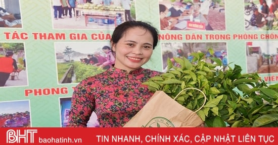 Lộc Hà chú trọng phát triển sản xuất vùng ven chân núi Hồng Lĩnh