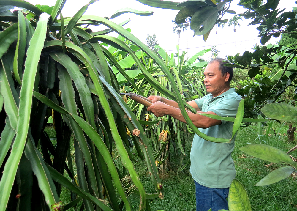 Cẩm Khê đẩy mạnh xuất khẩu lao động