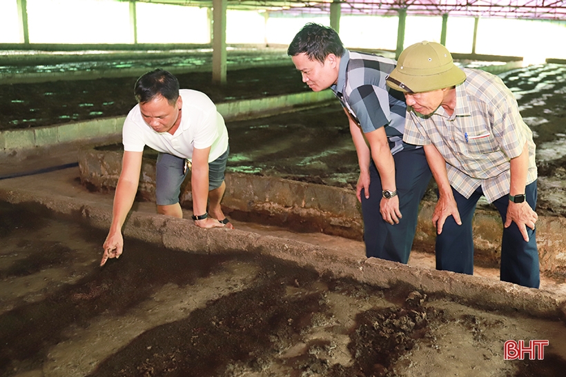 Hợp tác xã nông nghiệp có doanh thu hơn 60 tỷ đồng/năm ở Vũ Quang