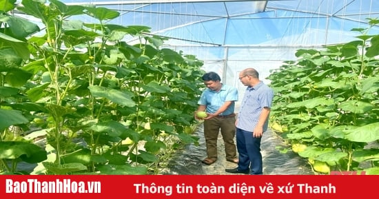 HTX Dịch vụ cơ giới hóa nông nghiệp Đông Tiến được vinh danh là HTX tiêu biểu toàn quốc năm 2024