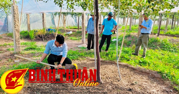 Thực hiện nhiều mô hình khuyến nông