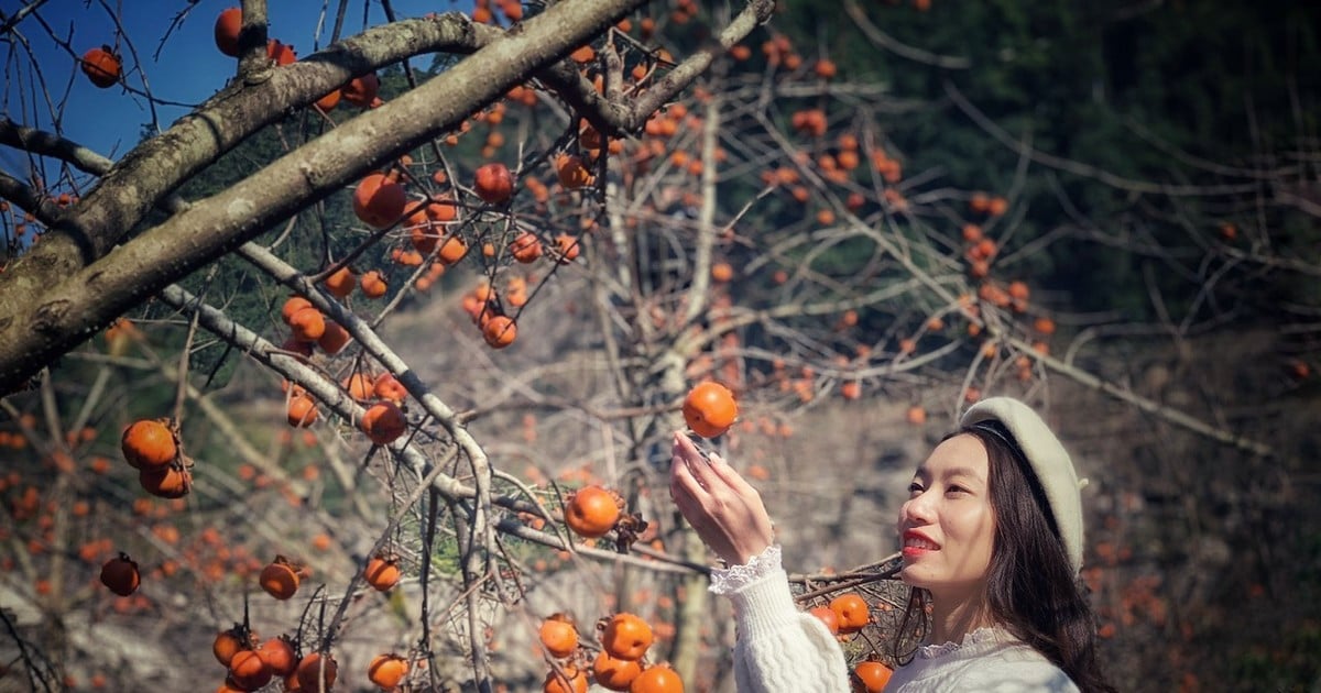 목차우가 국가 관광 지역으로 인정받으면 새로운 기회가 생깁니다.