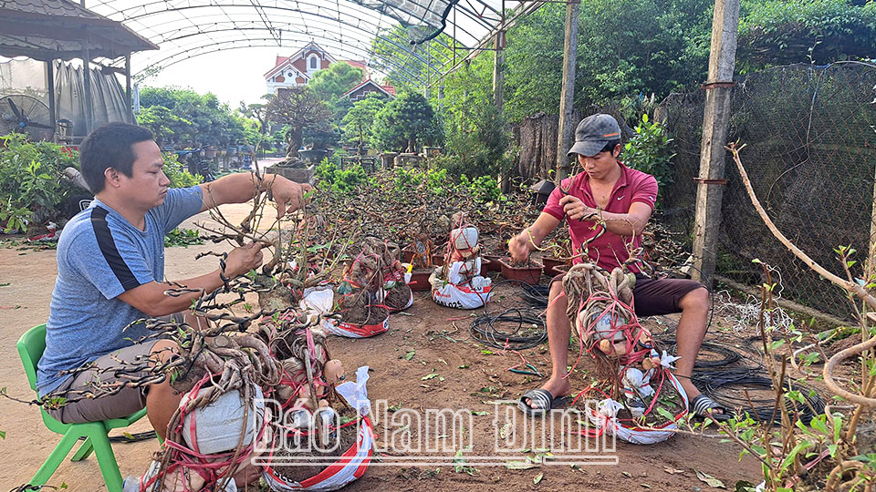 Die Bewohner des Dorfes Vi Khe in der Gemeinde Nam Dien (Nam Truc) kreieren Formen für Bonsai-Bäume.