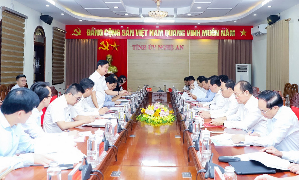 Central Economic Committee surveys the effectiveness of foreign investment cooperation in Nghe An