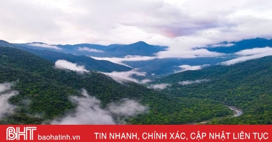 Découvrez la beauté cachée du parc national de Vu Quang