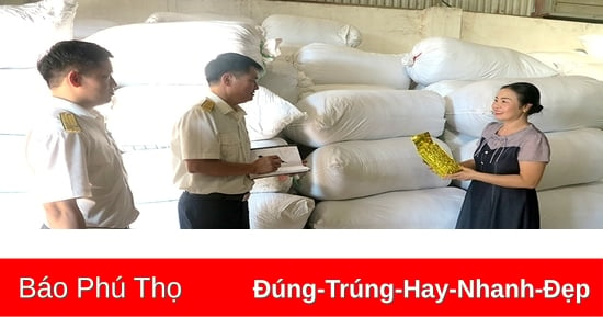 Tăng cường quản lý, chống thất thu thuế