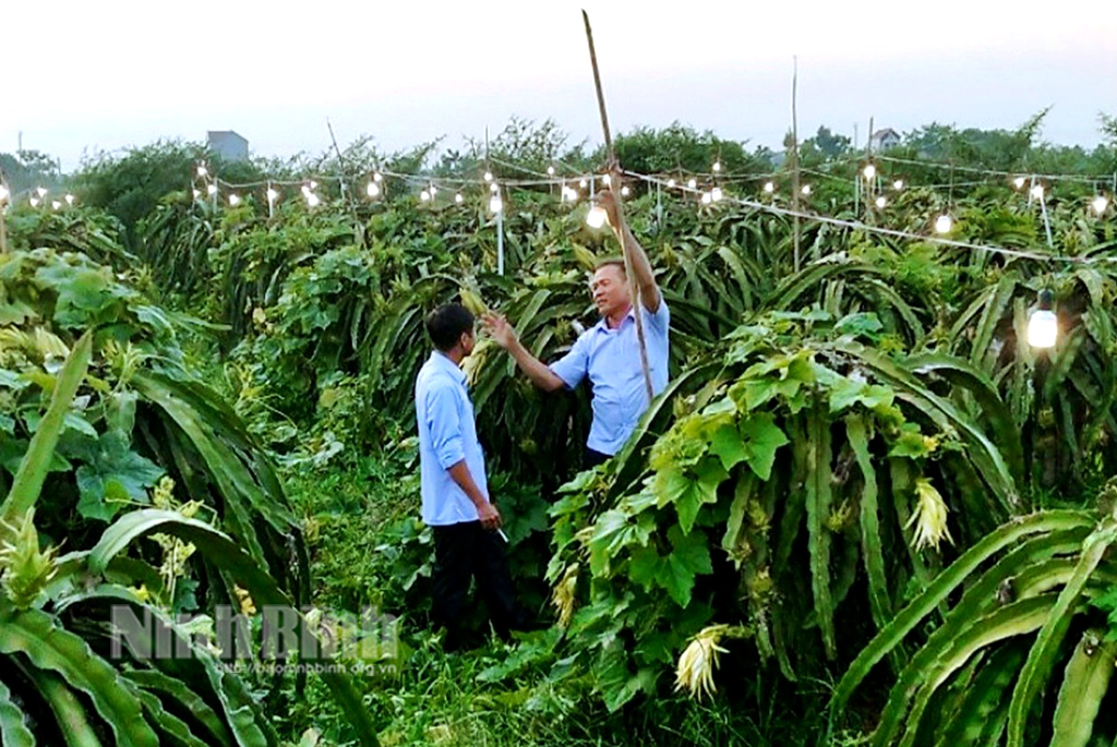 Diện mạo khởi sắc ở xã nông thôn mới nâng cao Kim Đông