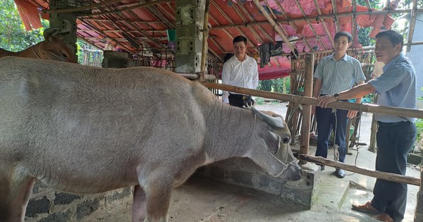 Toàn tỉnh Thái Nguyên phấn đấu giảm 3.486 hộ nghèo và cận nghèo trong năm 2024