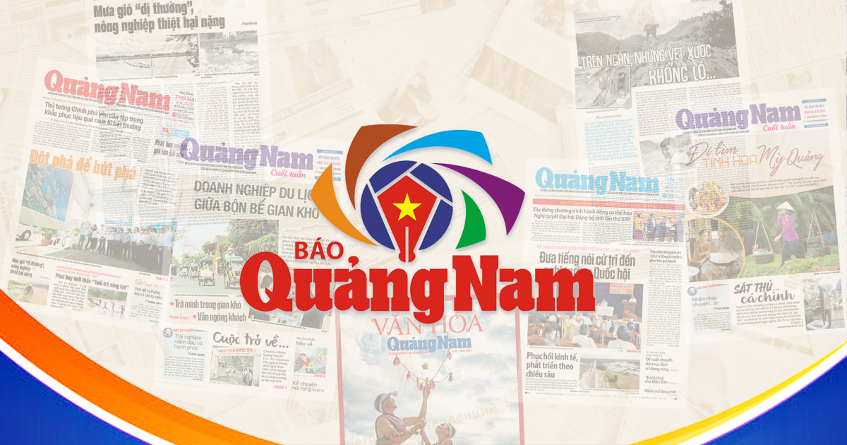 In 2025, the People's Committee of Quang Nam province assigned 3,096 civil servant positions and 29,997 public employee positions.