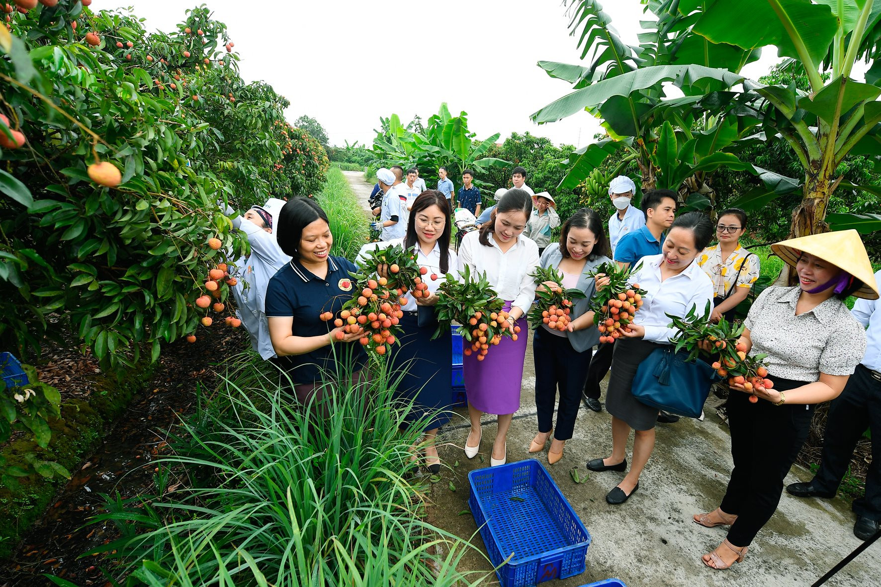 Thanh Hà khắc phục khó khăn, phát triển ổn định