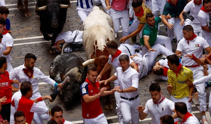 Bull running festival in Pamplona this year. Photo: Reuters