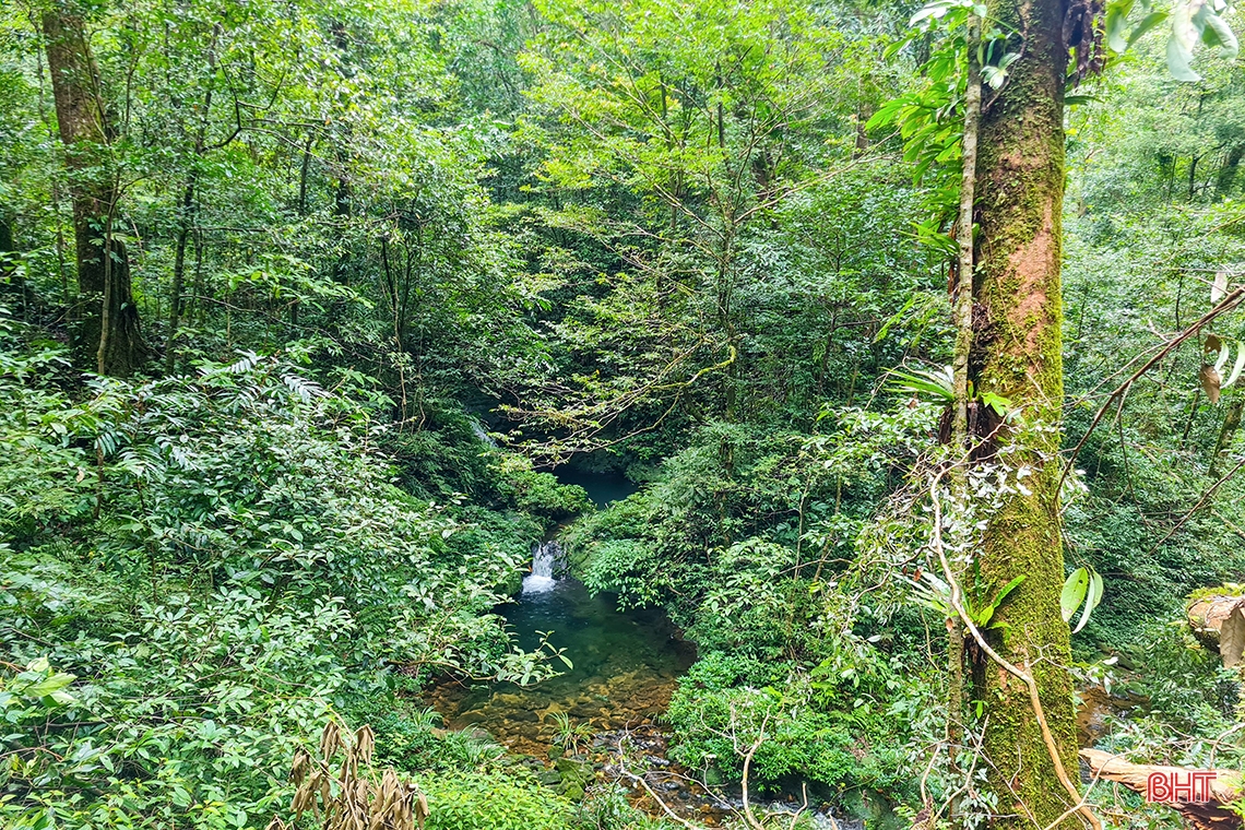 Discover the hidden beauty of Vu Quang National Park