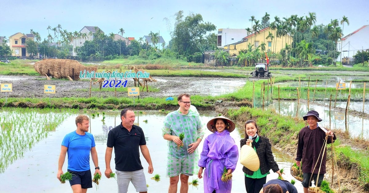 Agricultural "symbiotic" tourism