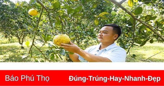 Đồng hành với thanh niên dân tộc thiểu số khởi nghiệp