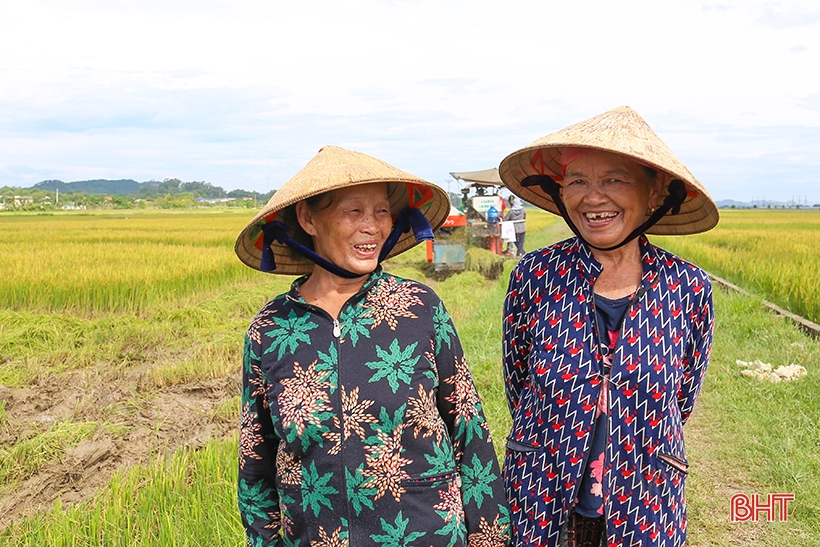 Nông dân Hà Tĩnh thu hoạch sớm lúa hè thu