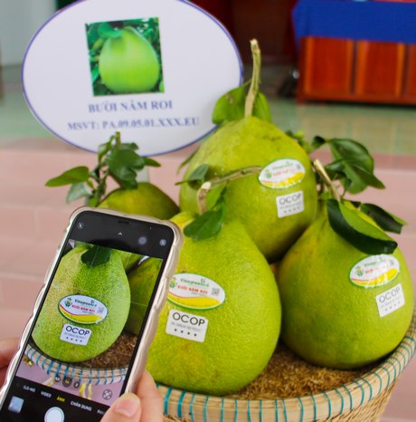 أدى تأثير التحول الرقمي إلى ظهور العديد من النماذج لتطبيق التكنولوجيا المتقدمة في الإنتاج.