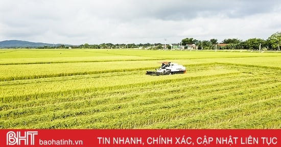 Nông nghiệp hàng hóa Hà Tĩnh